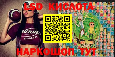 шишки Коммунар